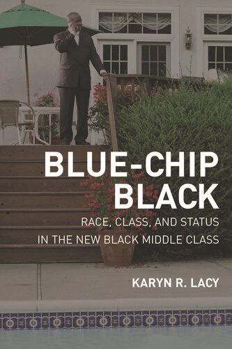 Bluechip Black Race Class And Status In The New Black Middle Class Karyn Lacy