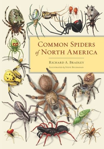 Common Spiders Of North America Richard A Bradley