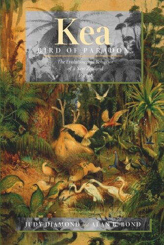 Kea Bird Of Paradox The Evolution And Behavior Of A New Zealand Parrot Judy Diamond Alan B Bond
