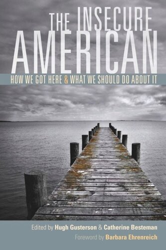 The Insecure American How We Got Here And What We Should Do About It Hugh Gusterson Editor Catherine Besteman Editor