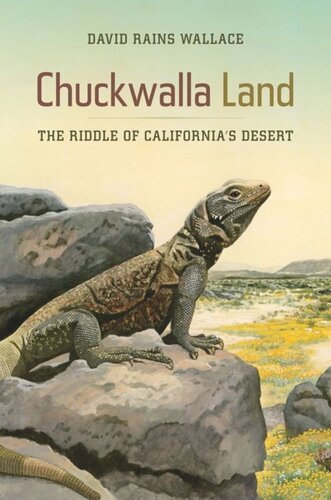 Chuckwalla Land The Riddle Of Californias Desert David Rains Wallace