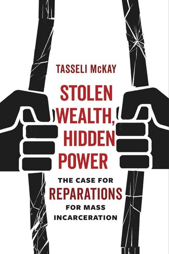 Stolen Wealth Hidden Power The Case For Reparations For Mass Incarceration Tasseli Mckay