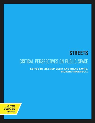 Streets Critical Perspectives On Public Space Reprint 2020 Zeynep Elik Editor