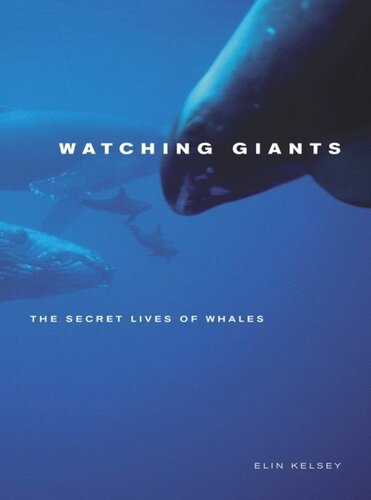 Watching Giants The Secret Lives Of Whales Elin Kelsey