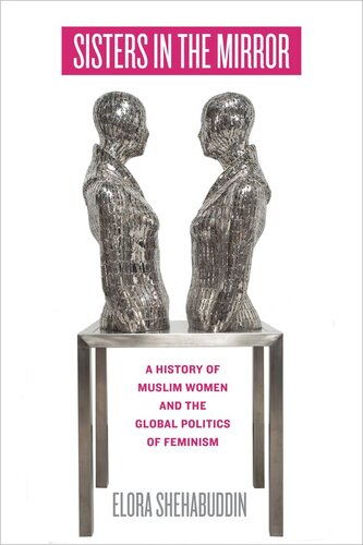 Sisters In The Mirror A History Of Muslim Women And The Global Politics Of Feminism Elora Shehabuddin