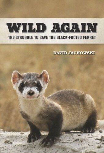 Wild Again The Struggle To Save The Blackfooted Ferret David S Jachowski