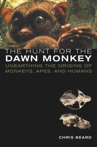 The Hunt For The Dawn Monkey Unearthing The Origins Of Monkeys Apes And Humans Christopher Beard