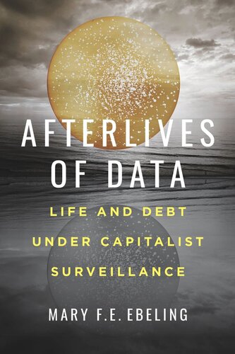 Afterlives Of Data Life And Debt Under Capitalist Surveillance Mary Fe Ebeling