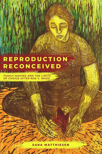 Reproduction Reconceived Family Making And The Limits Of Choice After Roe V Wade Sara Matthiesen