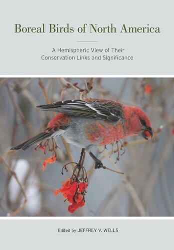 Boreal Birds Of North America A Hemispheric View Of Their Conservation Links And Significance Jeffrey V Wells Editor
