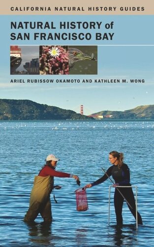 Natural History Of San Francisco Bay Ariel Rubissow Okamoto Kathleen Wong