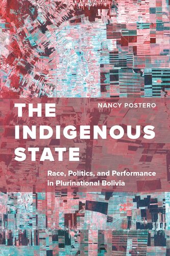 The Indigenous State Race Politics And Performance In Plurinational Bolivia Nancy Postero