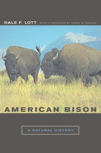 American Bison A Natural History Dale F Lott