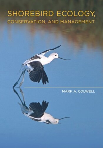 Shorebird Ecology Conservation And Management Mark A Colwell