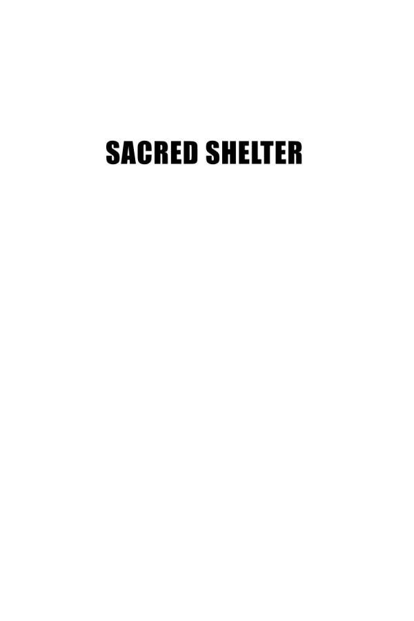 Sacred Shelter Thirteen Journeys Of Homelessness And Healing Susan Greenfield Editor