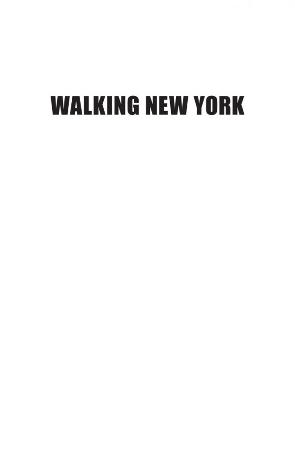Walking New York Reflections Of American Writers From Walt Whitman To Teju Cole Stephen Miller