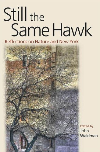 Still The Same Hawk Reflections On Nature And New York John Waldman