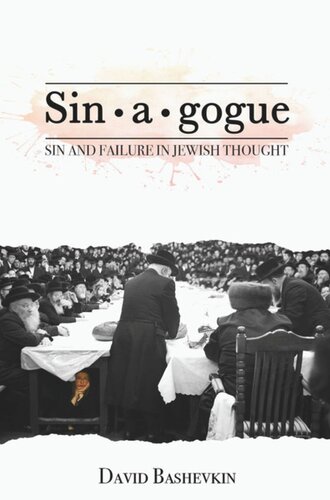 Sinagogue Sin And Failure In Jewish Thought David Bashevkin