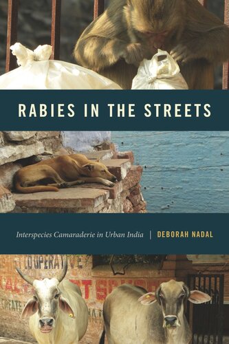 Rabies In The Streets Interspecies Camaraderie In Urban India Deborah Nadal