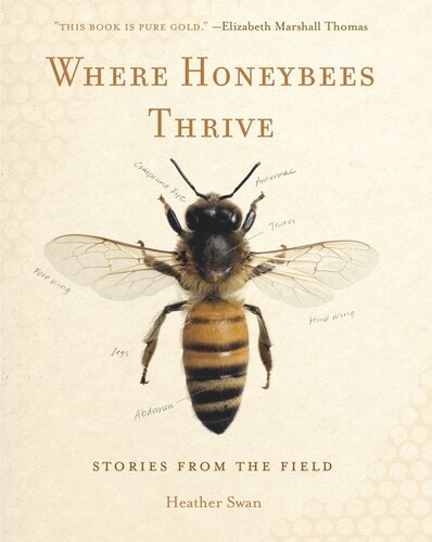 Where Honeybees Thrive Stories From The Field Heather Swan