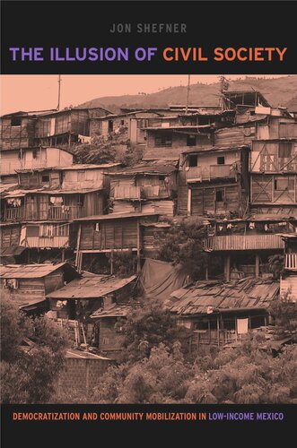 The Illusion Of Civil Society Democratization And Community Mobilization In Lowincome Mexico Jon Shefner