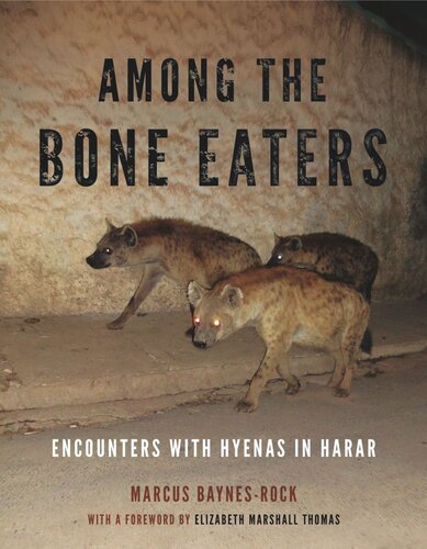Among The Bone Eaters Encounters With Hyenas In Harar Marcus Baynesrock Elizabeth Marshall Thomas