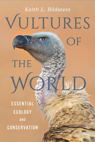 Vultures Of The World Essential Ecology And Conservation 1st Edition Keith L Bildstein