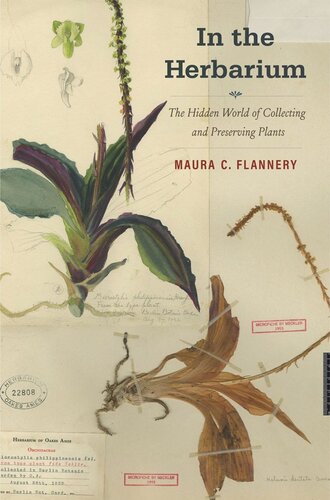 In The Herbarium The Hidden World Of Collecting And Preserving Plants Maura C Flannery