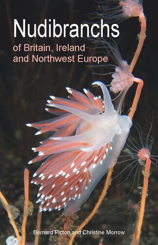 Nudibranchs Of Britain Ireland And Northwest Europe Second Edition Bernard Picton Christine Morrow