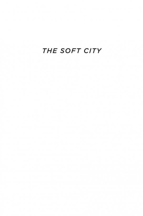 The Soft City Sex For Business And Pleasure In New York City Terry Williams