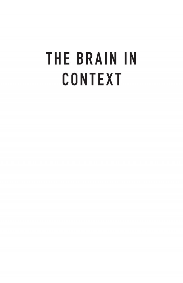 The Brain In Context A Pragmatic Guide To Neuroscience Jonathan D Moreno Jay Schulkin
