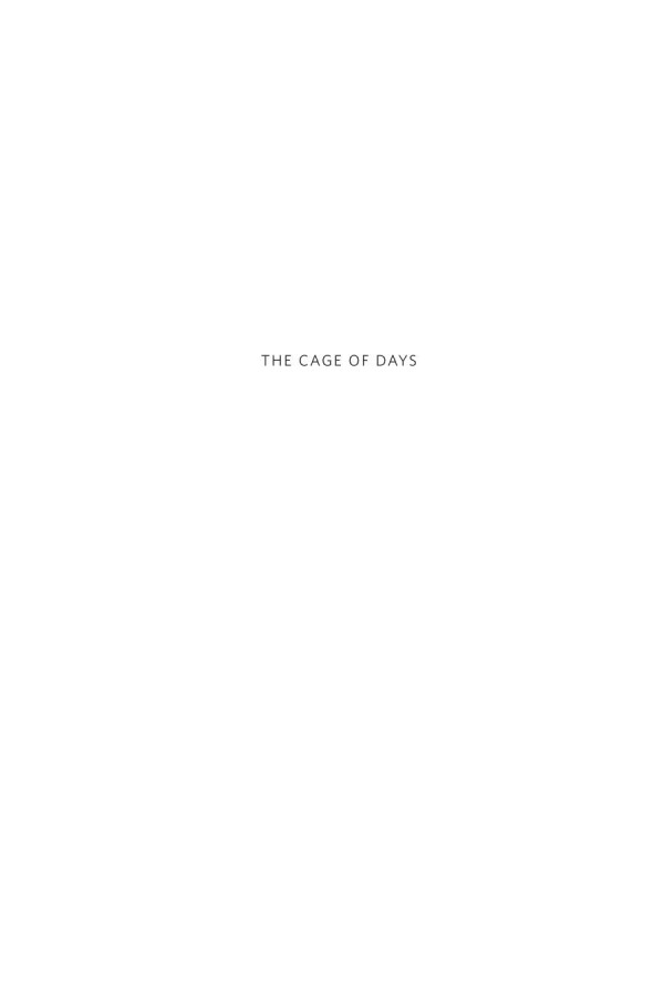 The Cage Of Days Time And Temporal Experience In Prison Michael G Flaherty K C Carceral