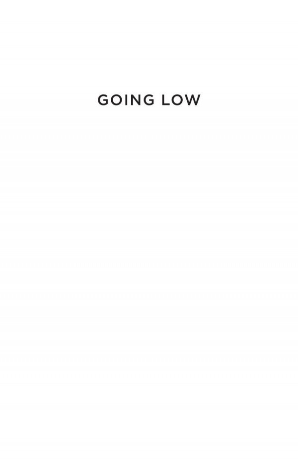 Going Low How Profane Politics Challenges American Democracy Finbarr Curtis