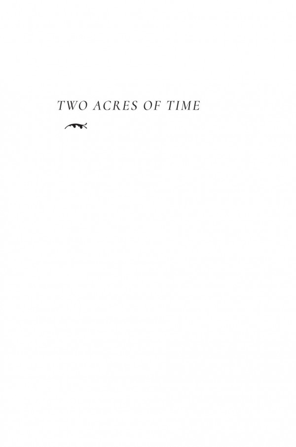 Two Acres Of Time Unearthing The Ice Age At The Byron Dig Richard S Laub