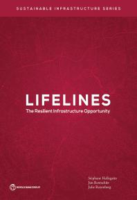 Lifelines The Resilient Infrastructure Opportunity 1st Edition Stphane Hallegatte Jun Rentschler Julie Rozenberg