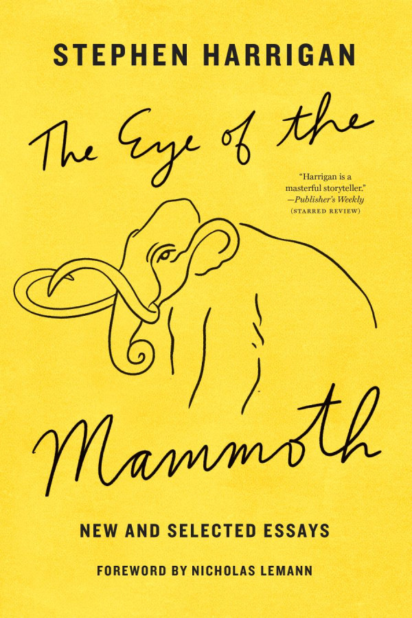 The Eye Of The Mammoth New And Selected Essays 1st Edition Stephen Harrigan Nicholas Lemann