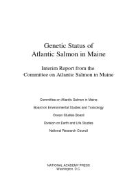 Genetic Status Of Atlantic Salmon In Maine Interim Report From The Committee On Atlantic Salmon In Maine 1st Edition National Research Council Division On Earth And Life Studies Ocean Studies Board Board On Environmental Studies And Toxicology Committee On Atlantic Salmon In Maine
