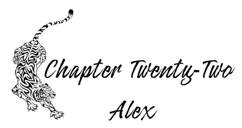 Tiger Tears A Zodiac Shifters Paranormal Romance Taurus Catherine Banks Zodiac Shifters