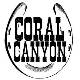 Morris A Young Brothers Novel Coral Canyon Cowboys Book 3 Liz Isaacson