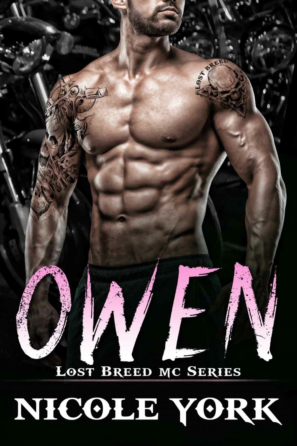 The Lost Breed Mc Box Set Nicole York
