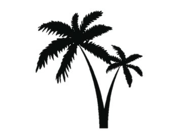 Wired Strong Paradise Crime Thriller Cozy Mystery 12 Kindle Toby Neal