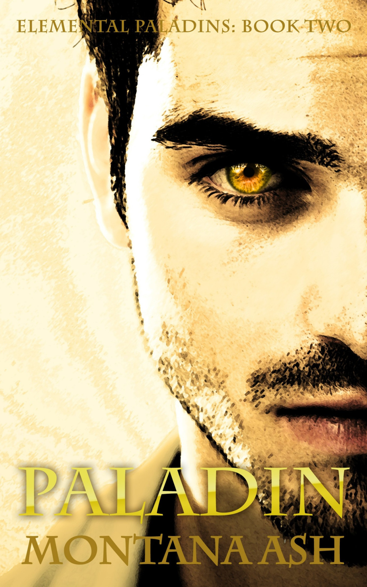 Paladin Book Two Of The Elemental Paladins Series Montana Ash