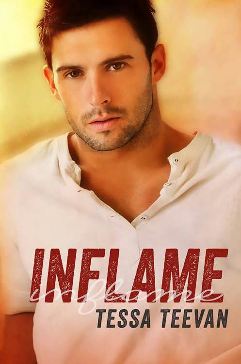 The Complete Explosive Series Books 15 Tessa Teevan
