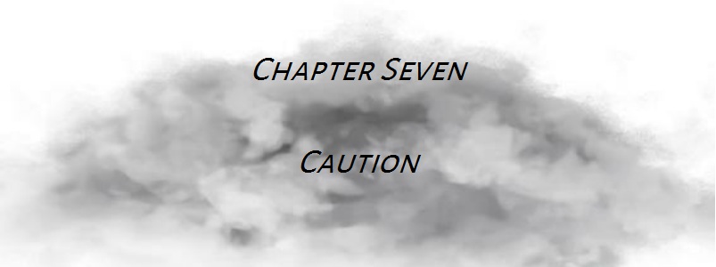 The Third Storm Liz Hambleton