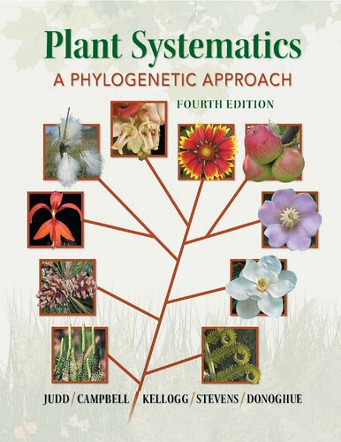 Plant Systematics A Phylogenetic Approach 4th Edition Walter S Judd