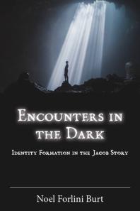 Encounters In The Dark Identity Formation In The Jacob Story 1st Edition Noel Forlini Burt