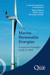 Marine Renewable Energies Prospective Foresight Study For 2030 Collectif Michel Paillard Vronique Lamblin
