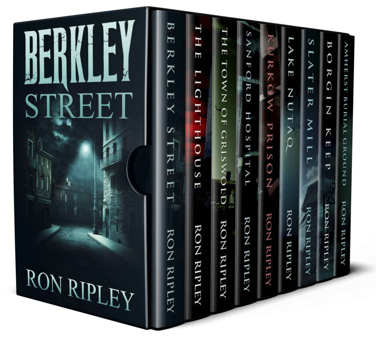 Berkley Street Series Books 1 9 Haunted House And Ghost Stories Collection Ron Ripley