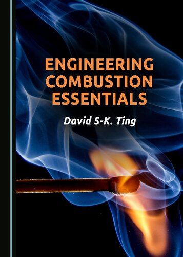 Engineering Combustion Essentials 1st Edition David Sk Ting