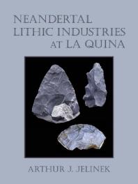 Neandertal Lithic Industries At La Quina 1st Edition Arthur J Jelinek